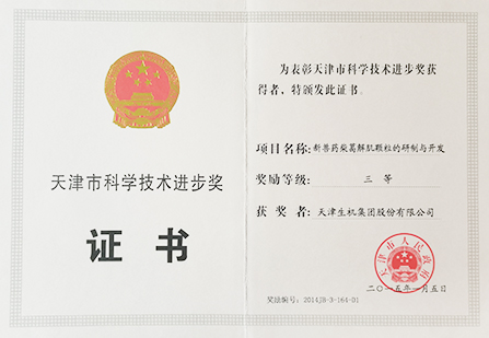 天津市科技進(jìn)步三等獎(jiǎng)